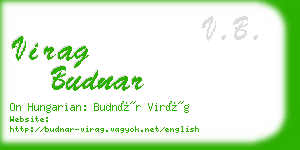 virag budnar business card